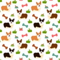 Cute cartoon Welsh Corgi dog in the grass seamless pattern background with hand drawn bone, dog food, dog bowl. Cartoon dog puppy Royalty Free Stock Photo