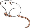 Cute cartoon white house mouse on white background