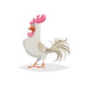 Cute cartoon white rooster. Farm animal. Good for education and kids design. Vector bird illustration