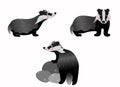 Cute cartoon wild brocks vector set. Badgers in different postures. Forest animals for kids. Isolated on white background