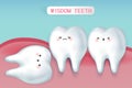 Cute cartoon wisdom teeth