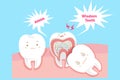 Cute cartoon wisdom teeth