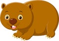 Cute Cartoon wombat