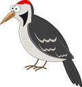 Cute cartoon woodpecker. Vector illustration. Smiling swan.