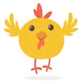 Cute cartoon yellow chicken blinking eye. Farm animals. Vector illustration of a cute chicken Royalty Free Stock Photo
