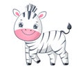 Cute cartoon zebra baby Children illustration.Isolated on white background Royalty Free Stock Photo