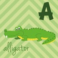 Cute cartoon zoo illustrated alphabet with funny animals: A for Alligator. Royalty Free Stock Photo