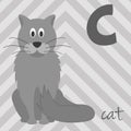 Cute cartoon zoo illustrated alphabet with funny animals: C for Cat. Royalty Free Stock Photo