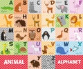 Cute cartoon zoo illustrated alphabet with funny animals. English alphabet. Royalty Free Stock Photo