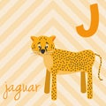 Cute cartoon zoo illustrated alphabet with funny animals: J for Jaguar. Royalty Free Stock Photo