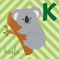 Cute cartoon zoo illustrated alphabet with funny animals: K for Koala. Royalty Free Stock Photo
