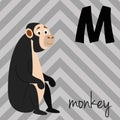 Cute cartoon zoo illustrated alphabet with funny animals: M for Monkey. Royalty Free Stock Photo