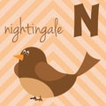 Cute cartoon zoo illustrated alphabet with funny animals: N for Nightingale.