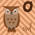 Cute cartoon zoo illustrated alphabet with funny animals: O for Owl.