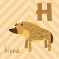 Cute cartoon zoo illustrated alphabet with funny animals. Spanish alphabet: H for Hiena. Royalty Free Stock Photo