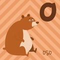 Cute cartoon zoo illustrated alphabet with funny animals. Spanish alphabet: O for Oso. Royalty Free Stock Photo