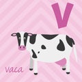 Cute cartoon zoo illustrated alphabet with funny animals. Spanish alphabet: V for Vaca. Royalty Free Stock Photo