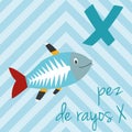 Cute cartoon zoo illustrated alphabet with funny animals. Spanish alphabet: X for Pez de Rayos X. Royalty Free Stock Photo