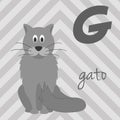 Cute cartoon zoo illustrated alphabet with funny animals. Spanish alphabet: G for Gato. Royalty Free Stock Photo