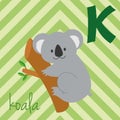 Cute cartoon zoo illustrated alphabet with funny animals. Spanish alphabet: K for Koala. Royalty Free Stock Photo