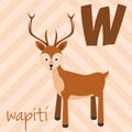 Cute cartoon zoo illustrated alphabet with funny animals. Spanish alphabet: W for Wapiti. Royalty Free Stock Photo