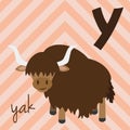 Cute cartoon zoo illustrated alphabet with funny animals. Spanish alphabet: Y for Yak. Royalty Free Stock Photo