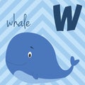 Cute cartoon zoo illustrated alphabet with funny animals: W for Whale. Royalty Free Stock Photo