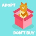 Cute cat Adopt Do not Buy text. Homeless animals concept, pets adoption theme.