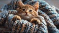 Cute Cat Adorable Moment Housecat Royalty Free Stock Photo