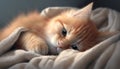 Cute Cat on the bed looking at the camera. High quality 3d render Illustration of Cat Royalty Free Stock Photo