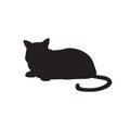 Cute cat black silhouette vector illustration isolated. Royalty Free Stock Photo