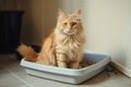 Cute cat box toilet. Generate Ai Royalty Free Stock Photo