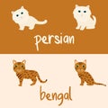 Cute Cat Breeds Cartoon Animal Illustration Type of Persian and Bengal To Background or Wallpaper