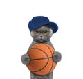 Cute cat in cap holding a ball Royalty Free Stock Photo