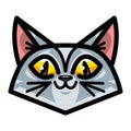 Cute Cat Cartoon