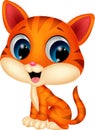 Cute cat cartoon