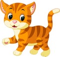 Cute cat cartoon Royalty Free Stock Photo