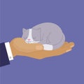 Cute cat, cartoon kitten dreaming on human hand vector illustration. Grey and white kitty on mans hand. Home pets for Royalty Free Stock Photo