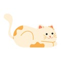 Cute cat cartoon Pet icon Vector Royalty Free Stock Photo