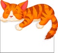 Cute cat cartoon sleeping Royalty Free Stock Photo