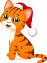 Cute cat cartoon wearing red hat Royalty Free Stock Photo