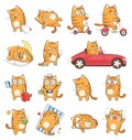 Cute cat character with different emotions. Royalty Free Stock Photo