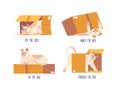 Cute Cat Character In Different Poses With Box. Prepositions Of Place English. Studying Of Foreign Language Concept