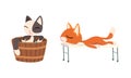 Cute Cat Character Taking Hot Bath in Wooden Plunge Tub and Lying on Massage Bed Vector Set