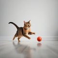 Cute cat chasing ball on the floor Royalty Free Stock Photo