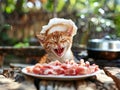 A cute cat in a chef's hat sits in front of a plate of meat. Artificial intelligence. Royalty Free Stock Photo