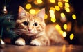 Cute cat on Christmas glittering lights background