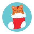 Cute cat in a Christmas stocking. Happy Holidays. Winter animal. Vector illustration. Royalty Free Stock Photo