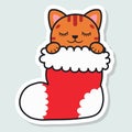 Cute cat in a Christmas stocking. Happy Holidays. Winter animal. Vector illustration. Royalty Free Stock Photo