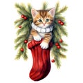 Cat with christmas tree in stocking.GenerativeAI. Royalty Free Stock Photo